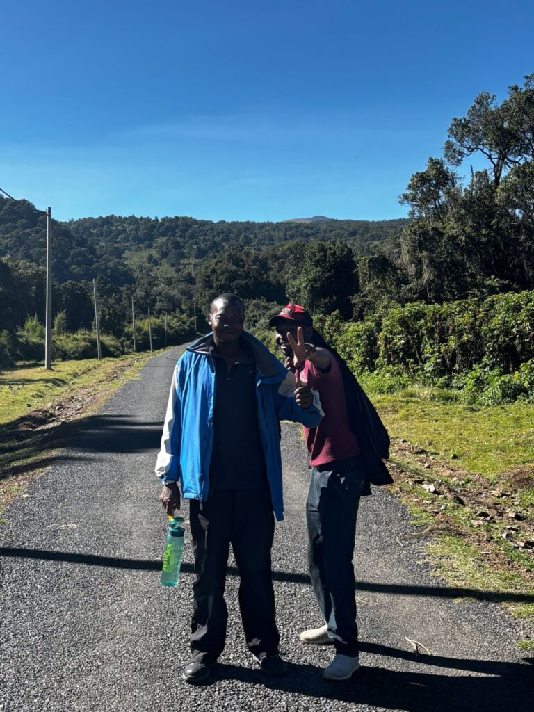 Two trekkers on the forest road at the start of the Sirimon Route, Mount Kenya