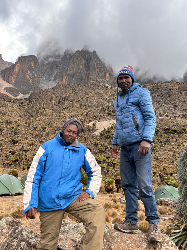 Trekkers among giant groundsels at camp on the Sirimon Route, Mount Kenya